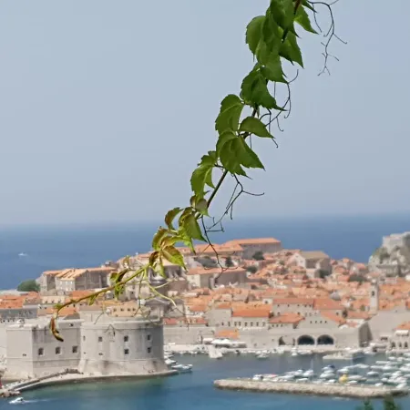 Bupic- Close To Old With Free Parking